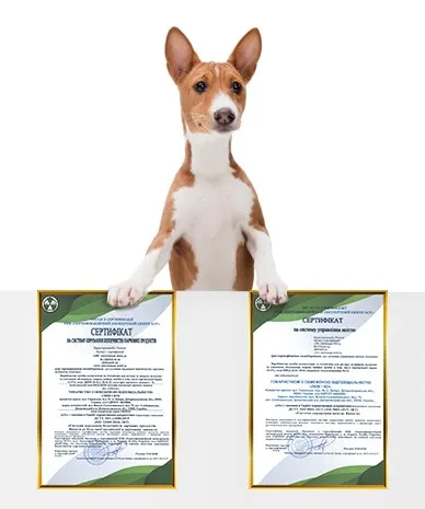 Відповідність стандартам якості ISO 22000 та ISO 9001