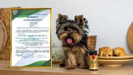 Відповідність стандартам якості ISO 22000 та ISO 9001