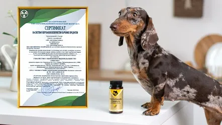 Відповідність стандартам якості ISO 22000 та ISO 9001