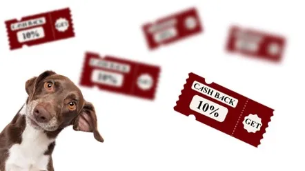 Отримайте більше вигоди від покупок за допомогою бонусного рахунку!