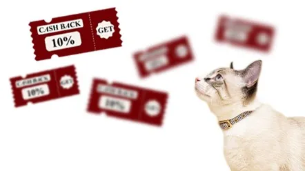 Отримайте більше вигоди від покупок за допомогою бонусного рахунку!