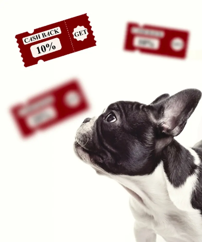 Отримайте більше вигоди від покупок за допомогою бонусного рахунку!