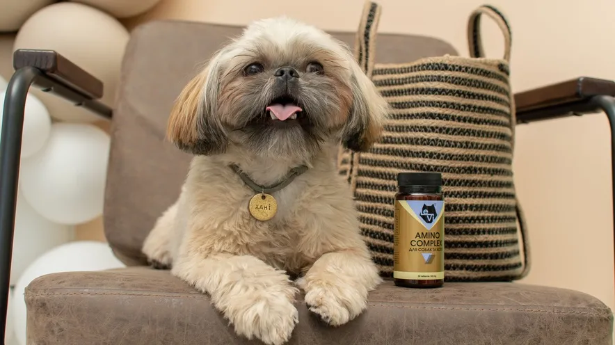Як амінокислоти впливають на здоров'я та активність вашої собаки?