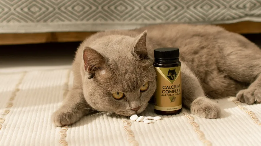 Кальцій і фосфор та їх роль у харчуванні кішок