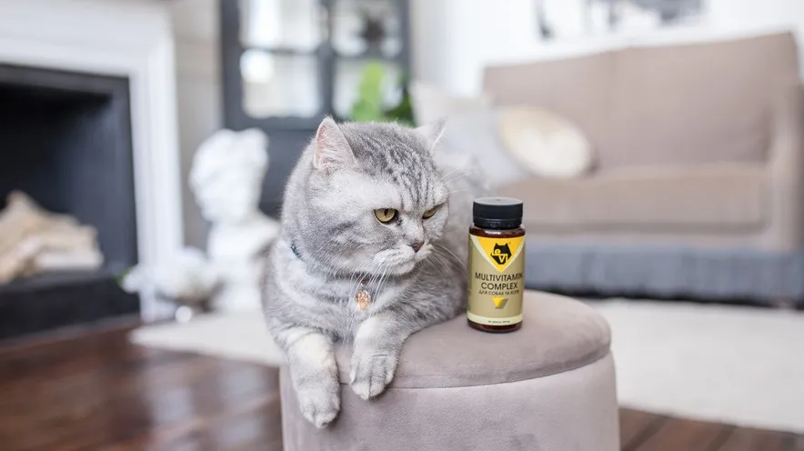 Вітаміни для котів: коли, навіщо і які вибрати