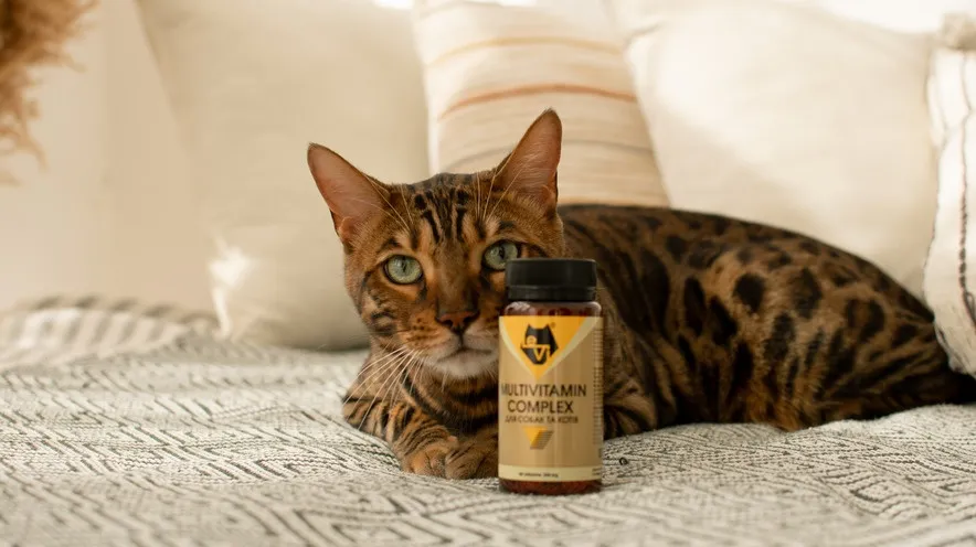 Вітаміни для котів: коли, навіщо і які вибрати