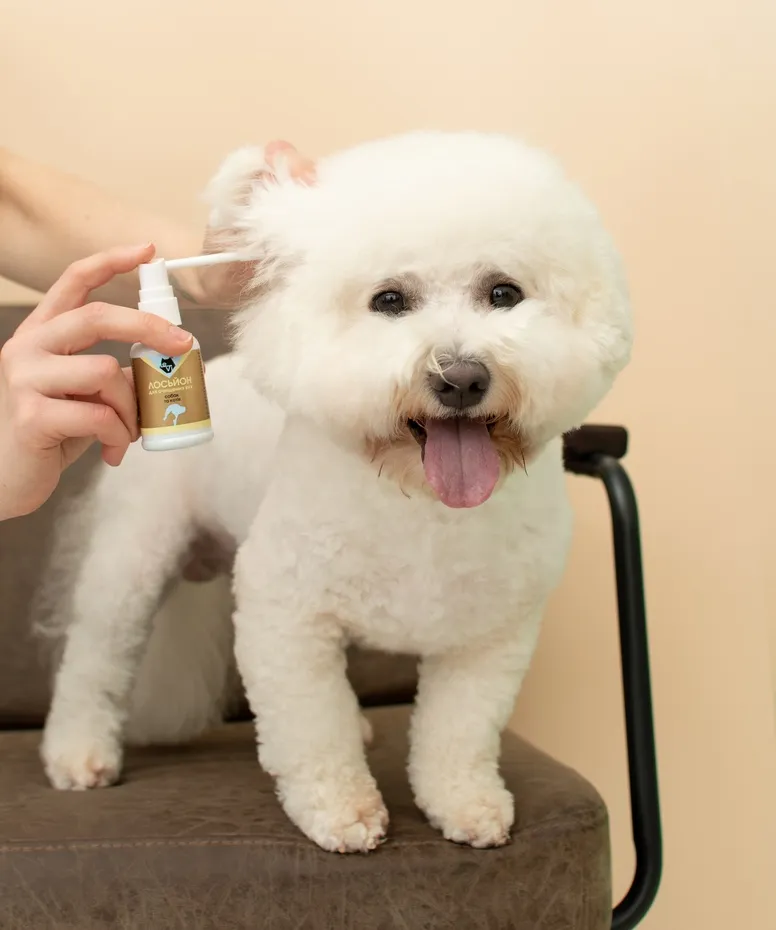 Яким лосьйоном чистити вуха собаці?