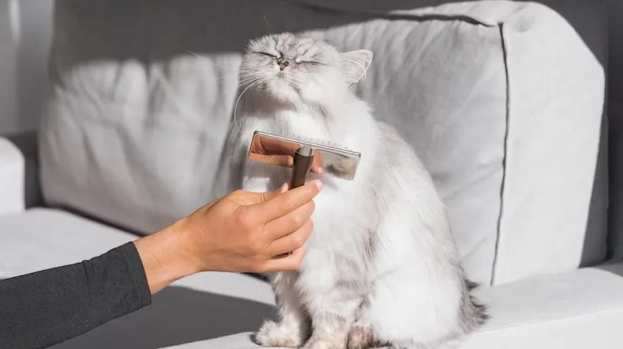 Який спрей від ковтунів підходить для котів?