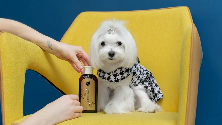 Який тип шампуню найкраще підходить для собак?