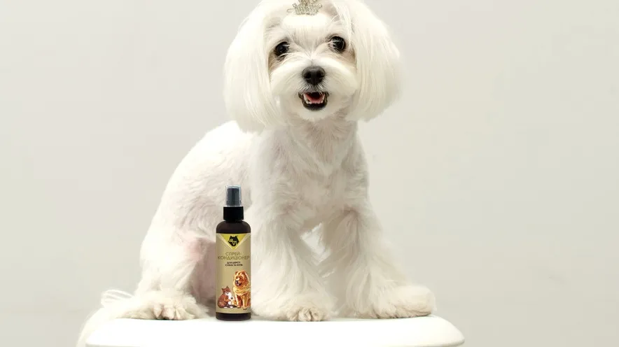 Спрей для шерсті собак: від запаху та для легкого розчісування