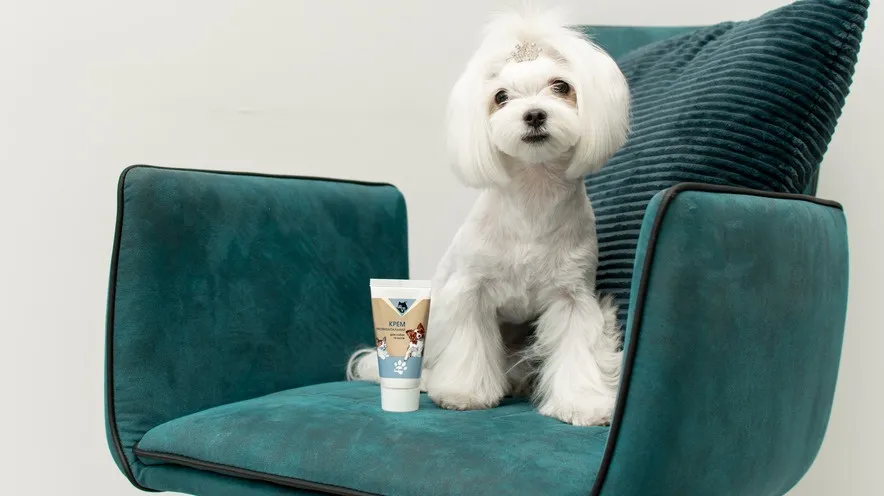 Чи можна використовувати дитячий крем для собак?