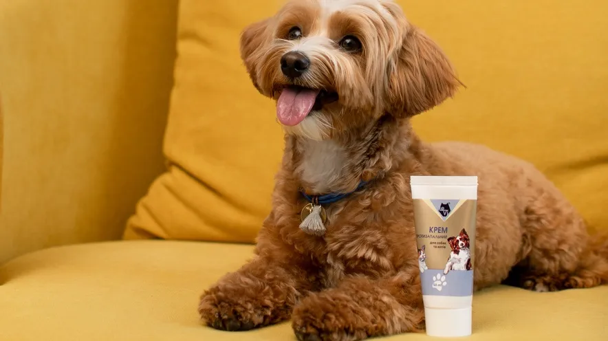 Чи можна використовувати дитячий крем для собак?
