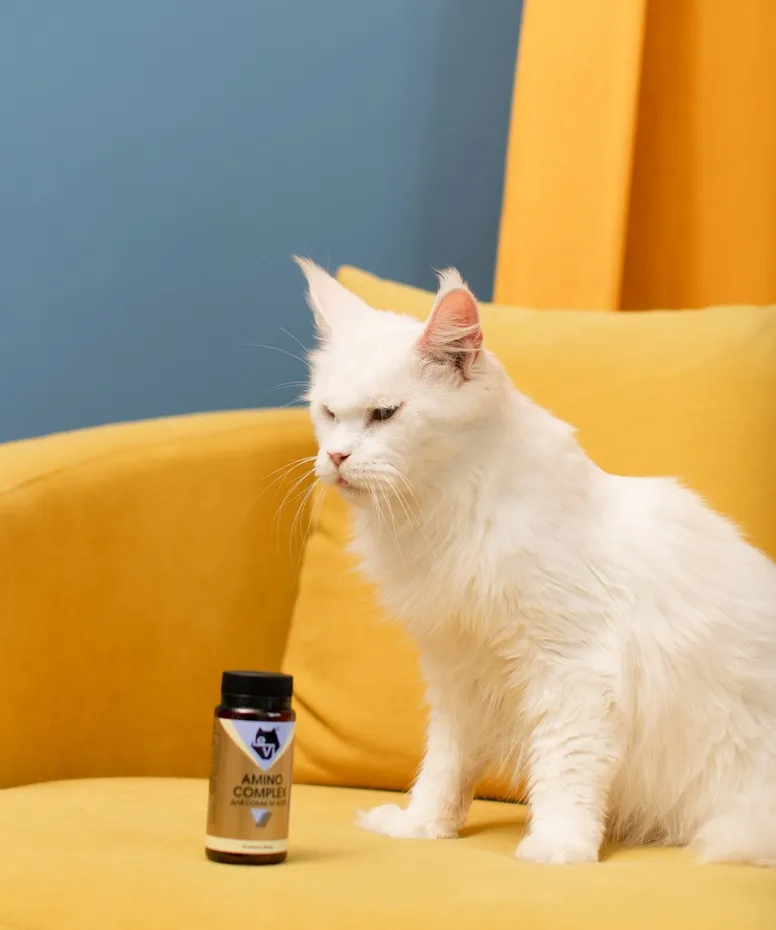 Навіщо котам потрібен аргінін: незамінна амінокислота для здоров’я