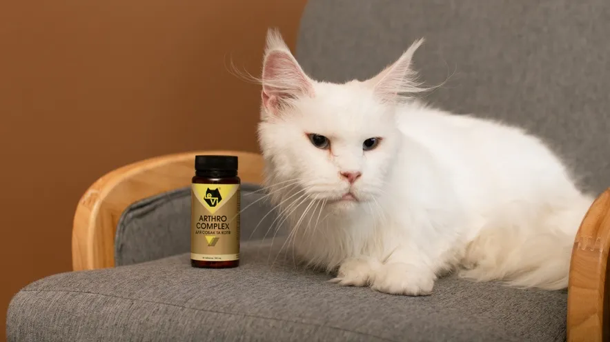Коли слід починати давати кішці добавки для суглобів?