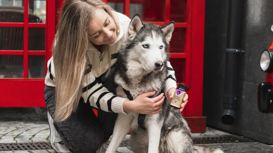 Як уповільнити розвиток серцевих захворювань у собак?