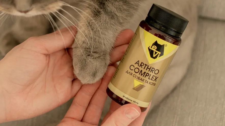 Як зрозуміти, що у кішки хворі суглоби?