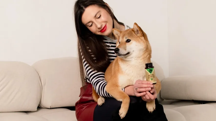 Що покращує функцію нирок у собак?