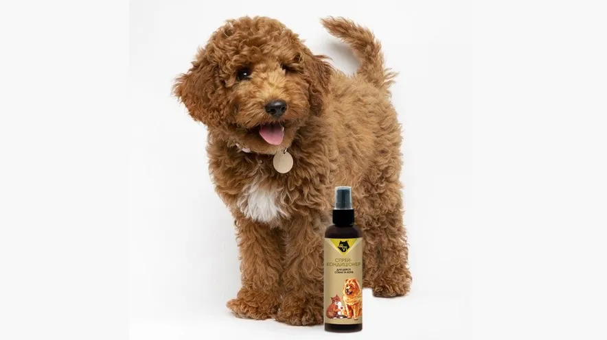 Як часто користуватися спреєм-кондиціонером для шерсті собак?
