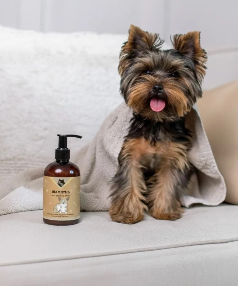 У чому різниця між шампунем для собак і шампунем для людей?